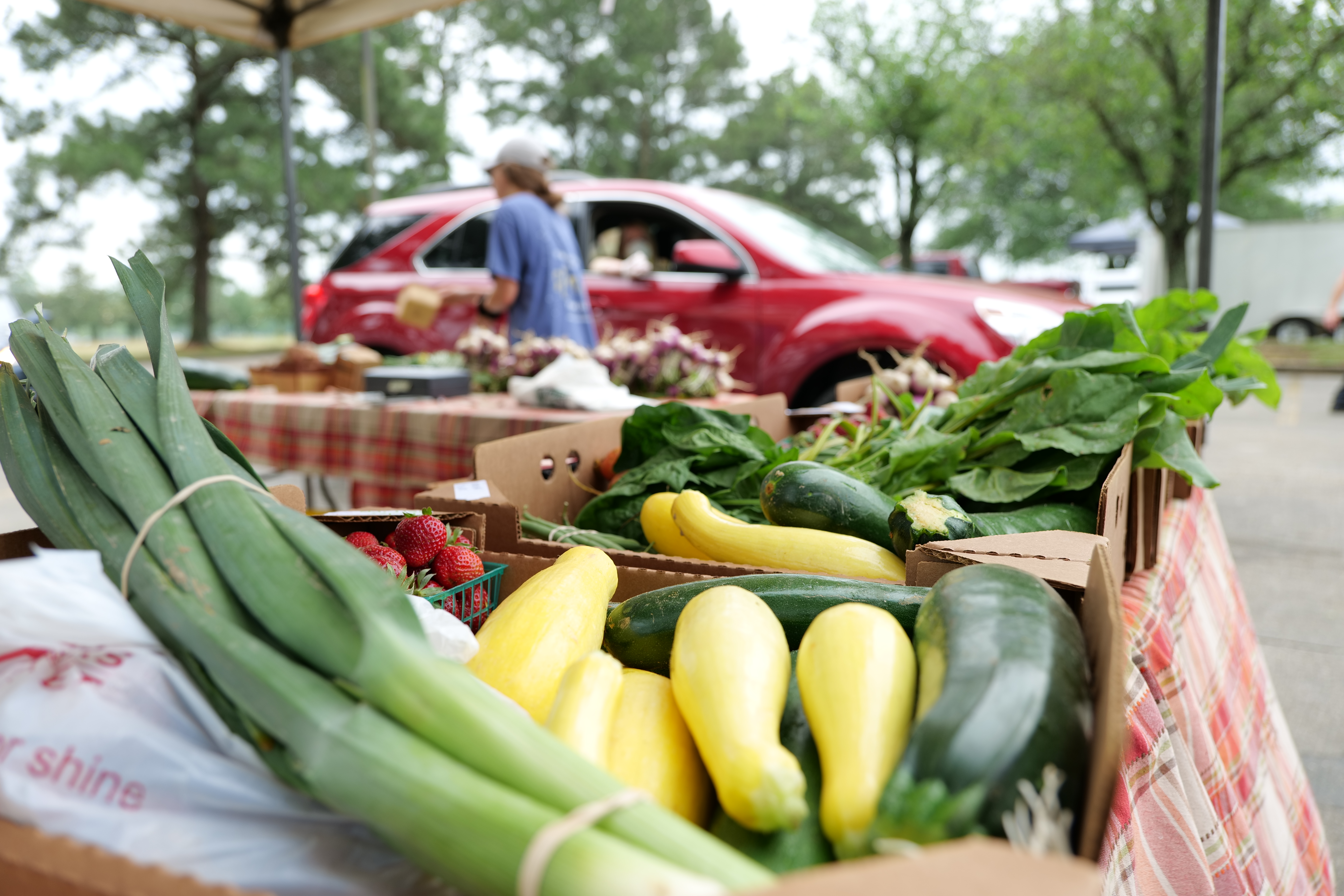 Farmers display entrepreneurial success in getting produce to customers 